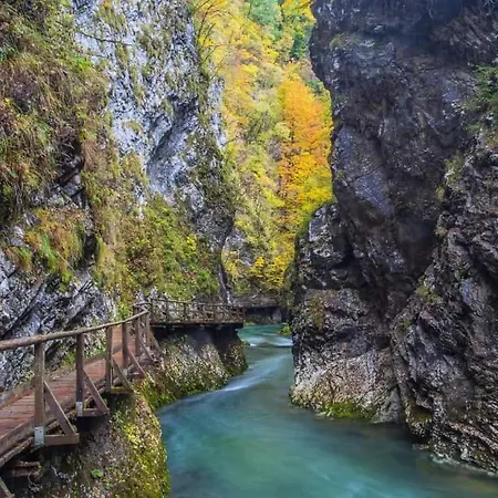 Slovenian * Radovljica
